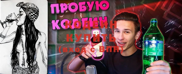дурь Алексин