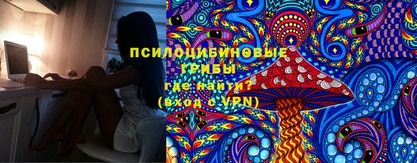 дурь Алексин